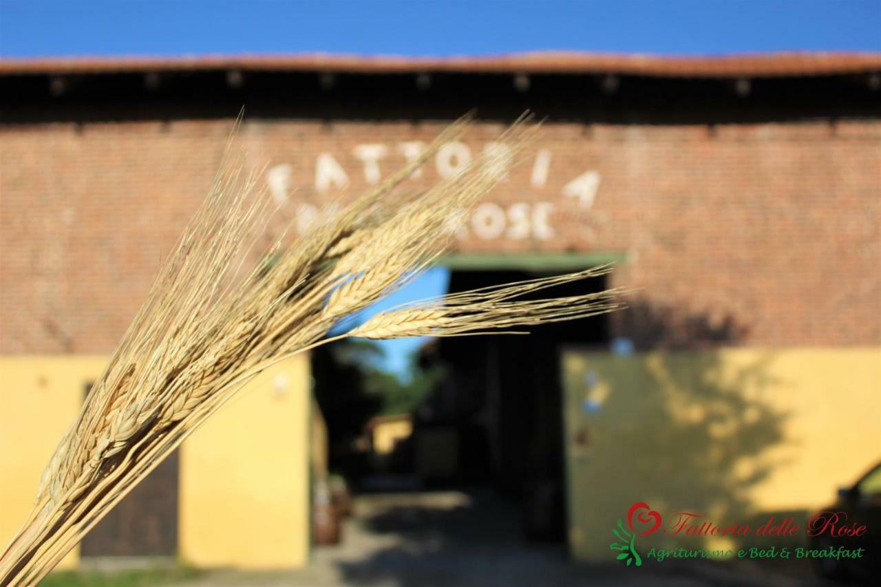 Villa Fattoria Delle Rose Salussola Exterior foto